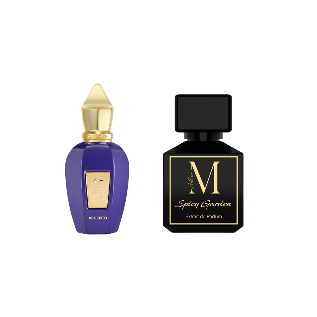 Xerjoff Accento 100ml + gratis Maison Noblesse Duft 50ml